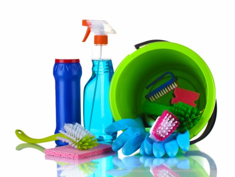 Cleaning professional preparing tools for a booked service