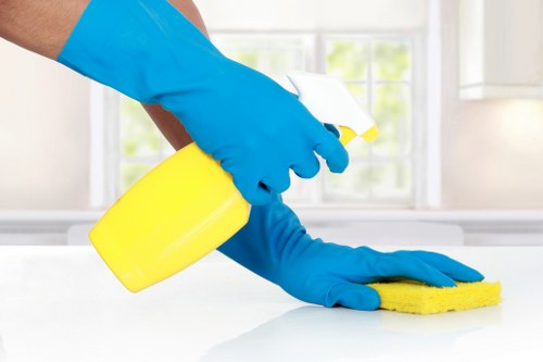Commercial oven cleaning support for a business in Sutton