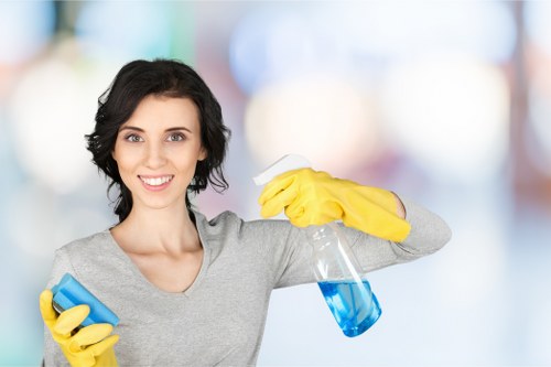 Domestic cleaner handling a detailed house clean in Sutton