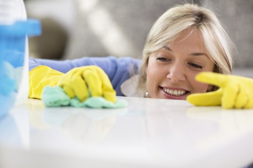Kitchen deep cleaning during a Sutton tenancy move-out service