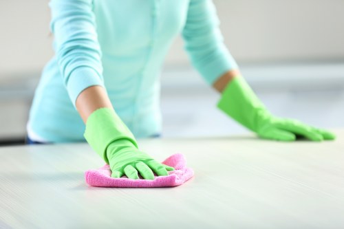 Local oven cleaning service for Sutton homes and flats