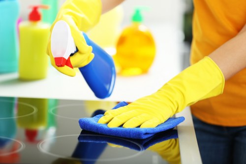 Professional cleaning and finishing of garments and textiles
