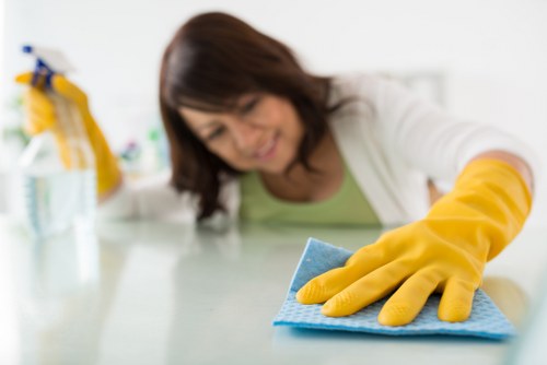 Domestic cleaner preparing a kitchen and bathroom clean in Sutton