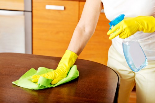 Cleaner wearing PPE during a professional cleaning task