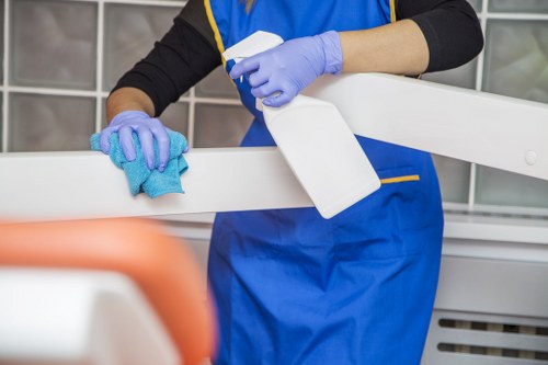 Window and office cleaning services illustration
