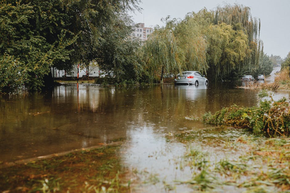Emergency sofa cleaning for St Helier estate floods