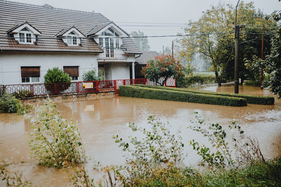 A flooded street in St Helier estate with water covering the asphalt road and surrounding grassy areas, partially submerged cars including a silver sedan and several other vehicles, and overhanging tr